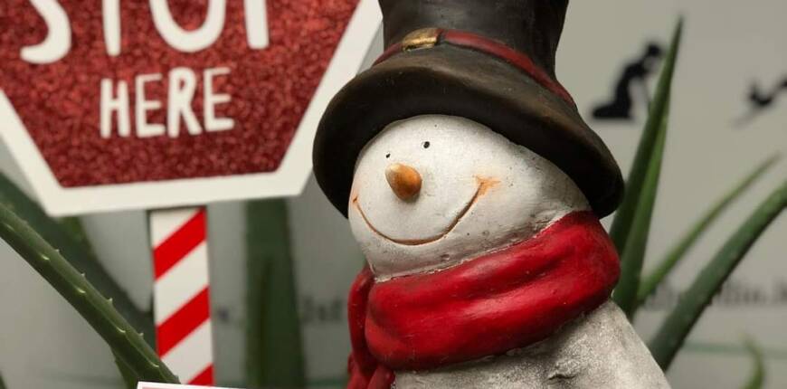Idea regalo per Natale: un Voucher con le nostre attività